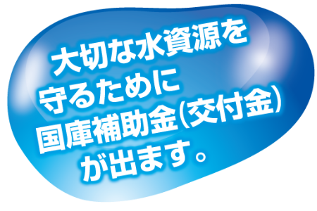 国庫補助金